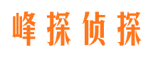 麻山找人公司